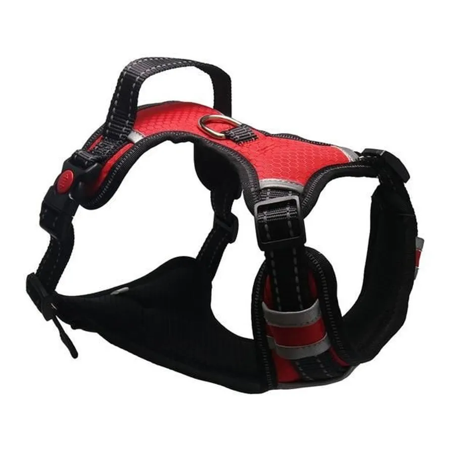 Postroj pro velké psy red s-chest-40-70cm