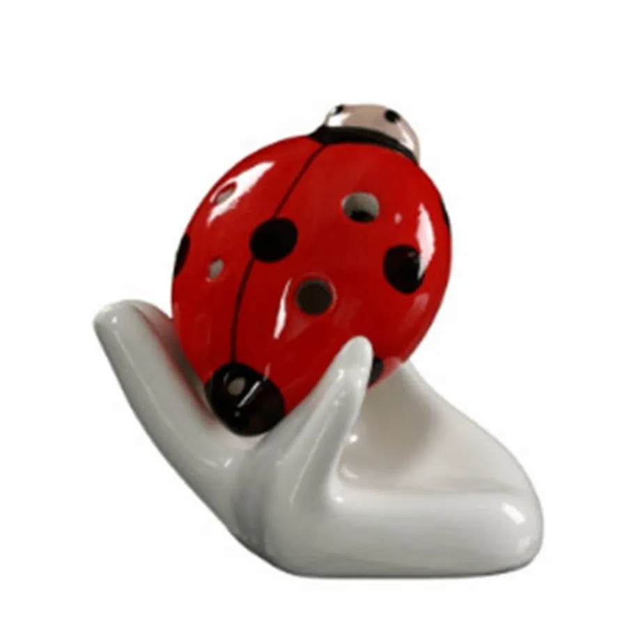 Lady Beetle Ocarina 6 jamkové píšťalky pro začátečníky Orffovy nástroje