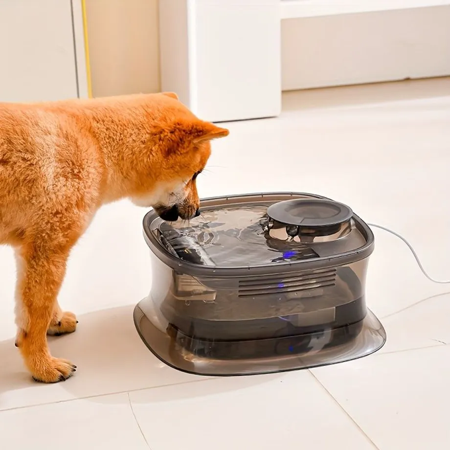 Automatic Pet Water Fountain with Silent Smart Pump