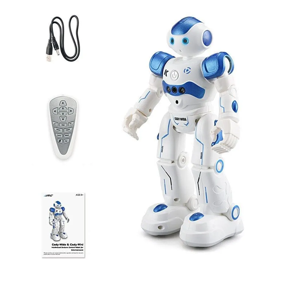 RC robot