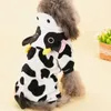 cat-cow-suit