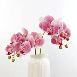 Luxusní umělá orchidej motýlí z latexu - 70 cm